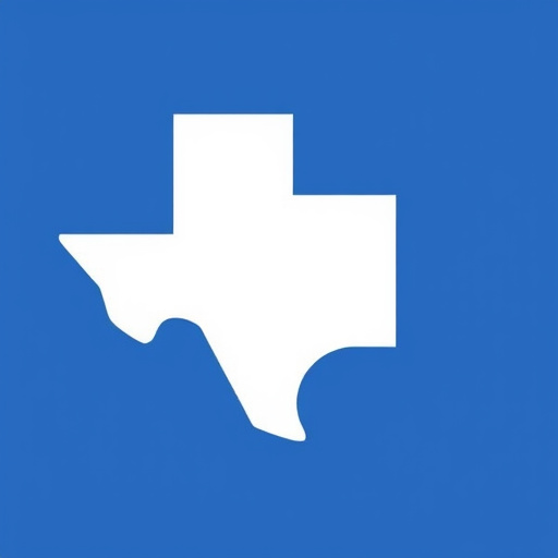 secure car title loans process mckinney tx