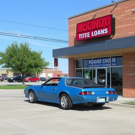 title loan places mckinney tx