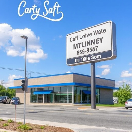 title loan places mckinney tx