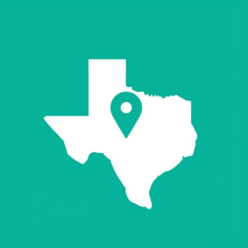 title loan places mckinney tx