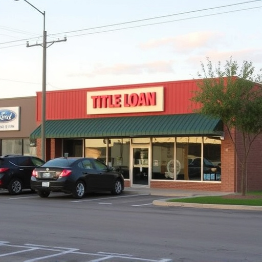 title loan places mckinney tx