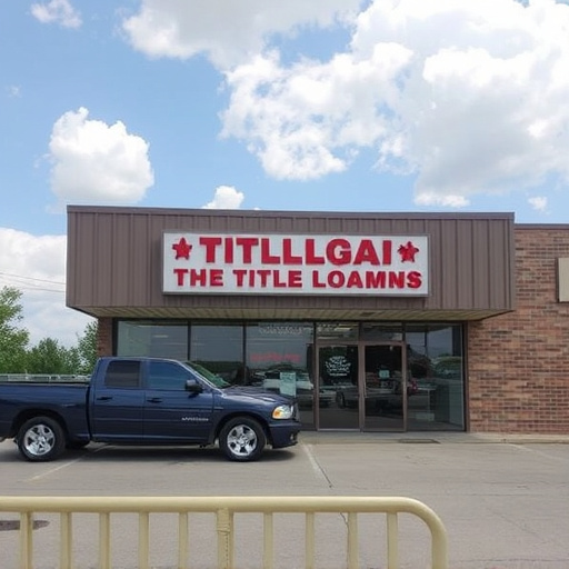 title loan places mckinney tx