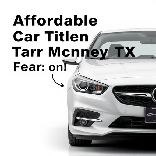 Affordable Car Title Loans Near McKinney TX: Your Guide