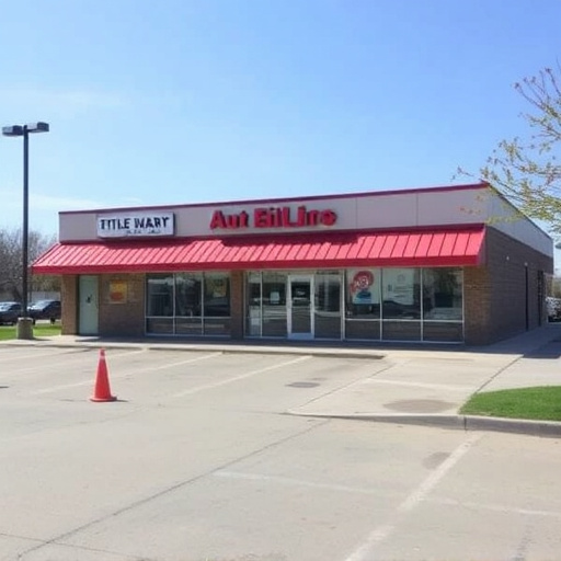 auto title loans mckinney tx