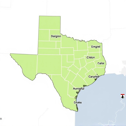 best rated car title loans mckinney tx area