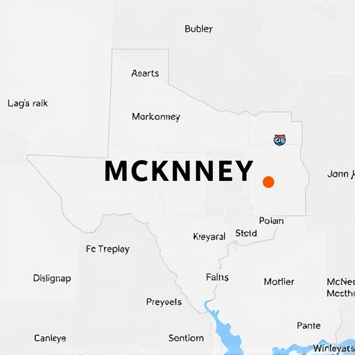 best rated car title loans mckinney tx area