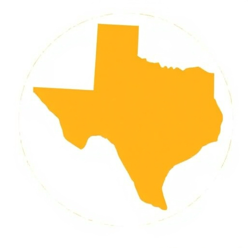 car equity loans mckinney texas