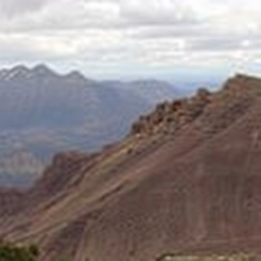 car title loans plano mckinney area