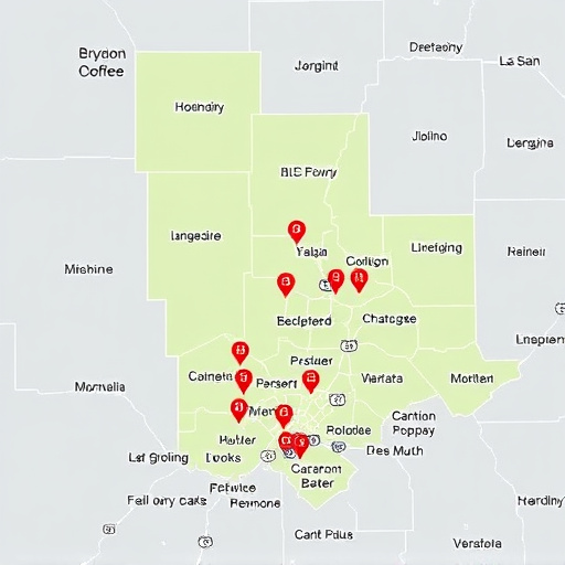 car title loans plano mckinney area