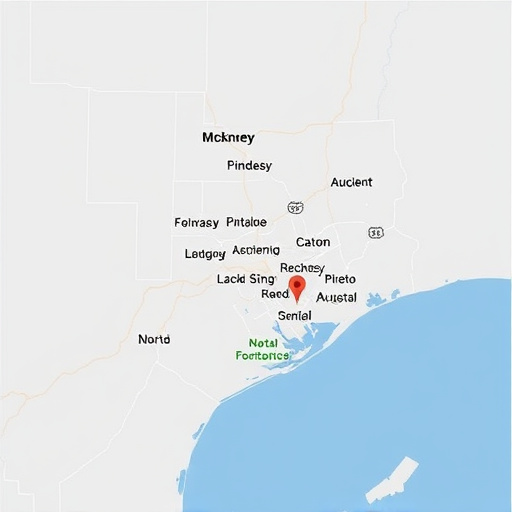 car title loans plano mckinney area