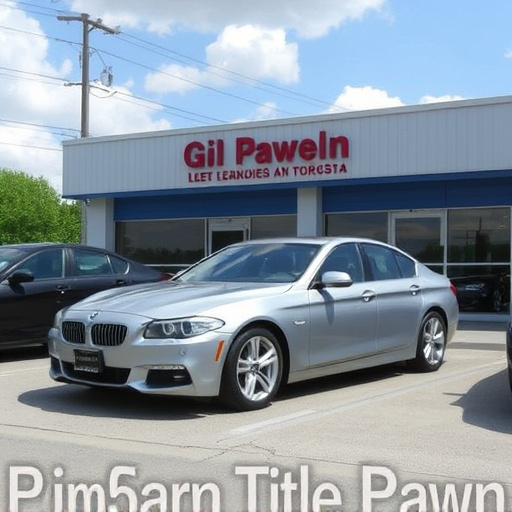 car title pawn mckinney texas