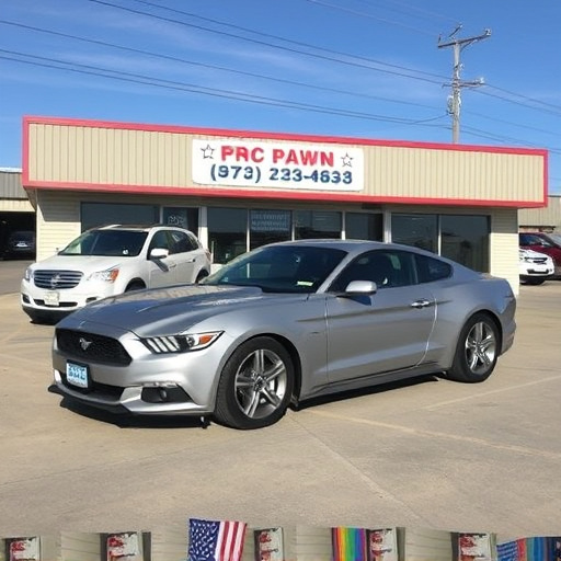 car title pawn mckinney texas