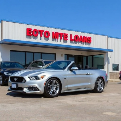 fast cash car title loans mckinney tx