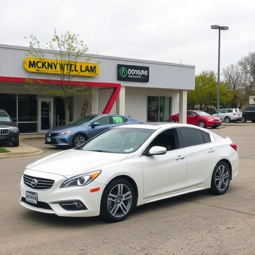 licensed car title loans company mckinney tx