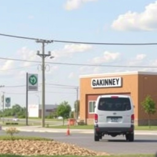 mckinney tx title loan companies