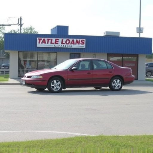 mckinney tx title loan companies