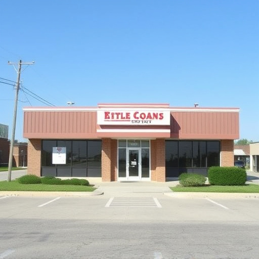 no credit check title loans mckinney tx