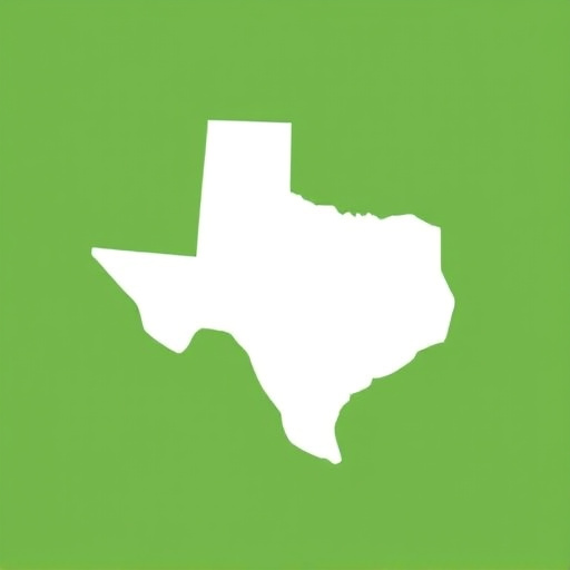 quick car title loans near mckinney texas