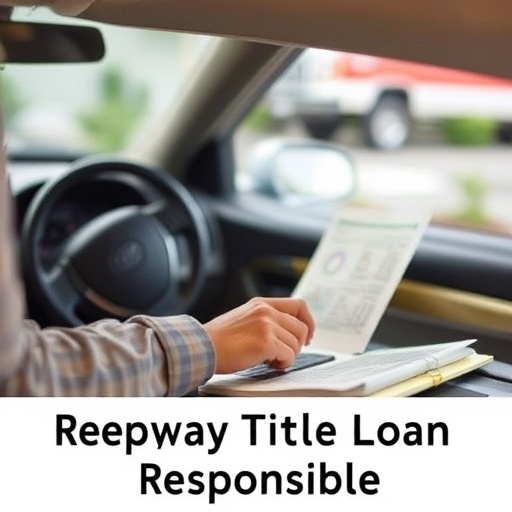 title loan places mckinney tx