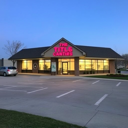 title loan places mckinney tx