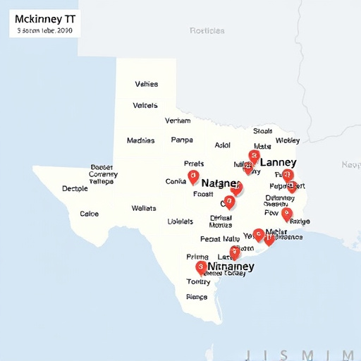 title loan places mckinney tx