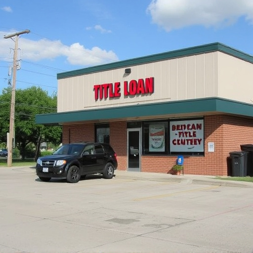 title loan places mckinney tx