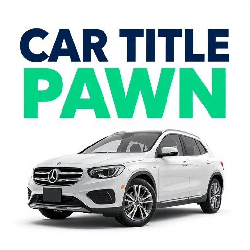 Car Title Pawn: Quick Cash in McKinney Texas Without Income Proof