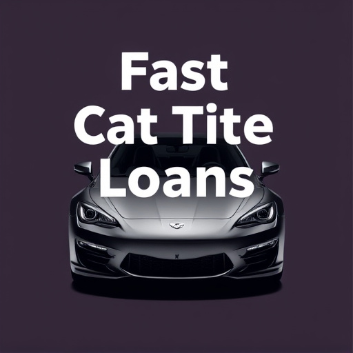 Fast Car Title Loans Approved McKinney TX Guide