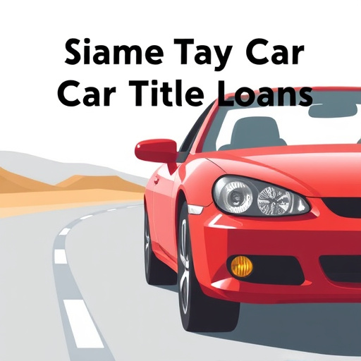 local car title loans specialist mckinney tx