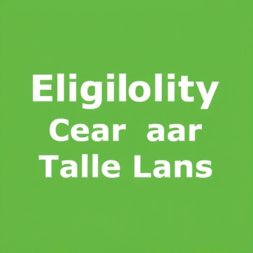 professional car title loans service mckinney tx