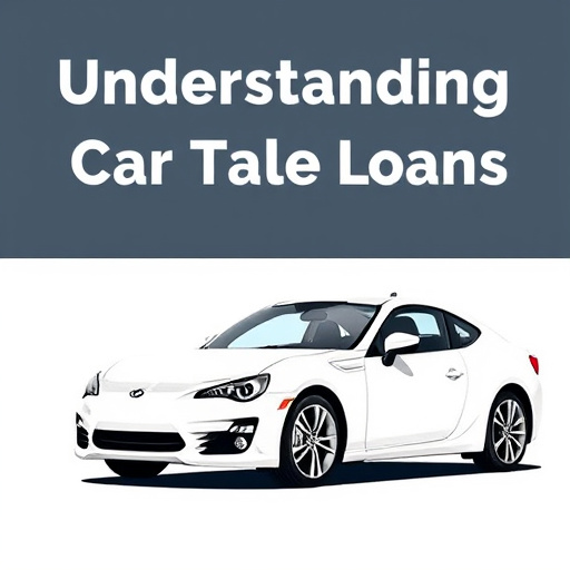 professional car title loans service mckinney tx