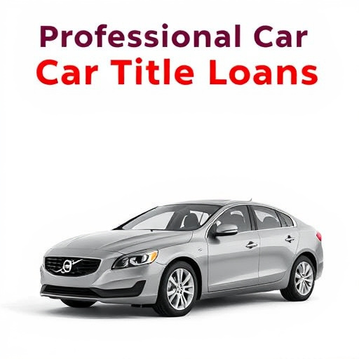 Professional Car Title Loans Service McKinney TX: Easy Loan Access