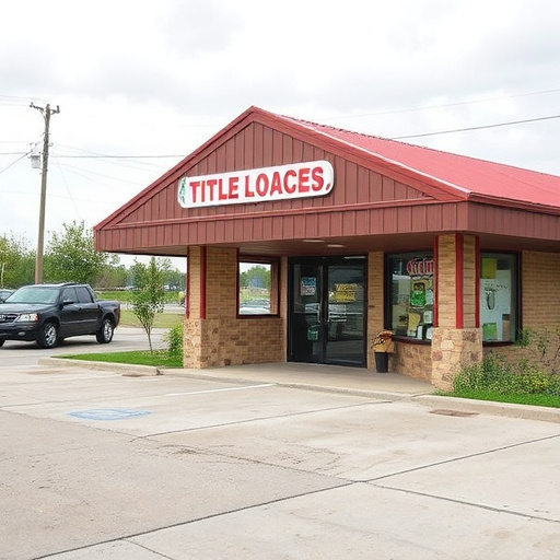 title loan places mckinney tx