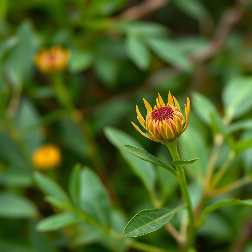 top car title loans specialists mckinney tx