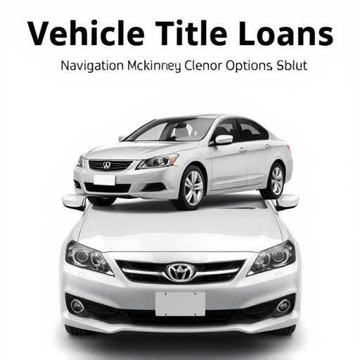 Vehicle Title Loans: Navigating McKinney TX Options & Risks