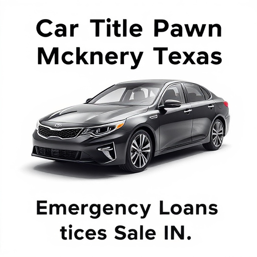 Car Title Pawn McKinney Texas: Emergency Loan Options Explained