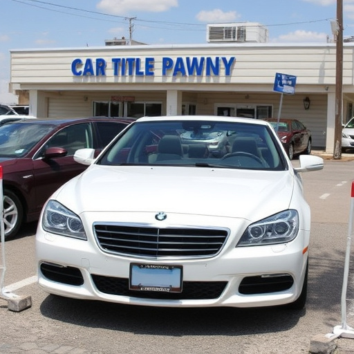 car title pawn mckinney texas