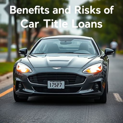 licensed car title loans company mckinney tx