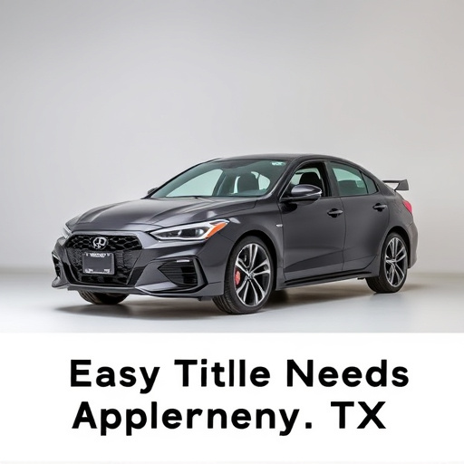 Streamline Your Needs: Easy Title Loan Applications in McKinney TX