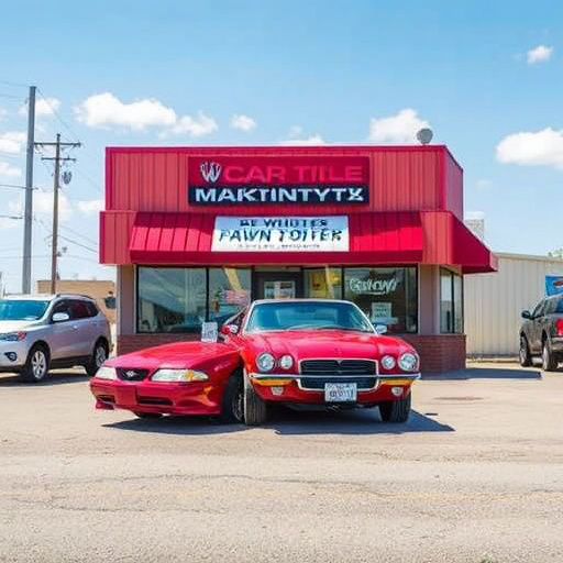 trusted car title loans lender mckinney tx