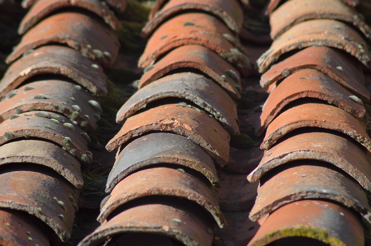Choose Top Dacula GA Roofing Provider for Quality Repairs
