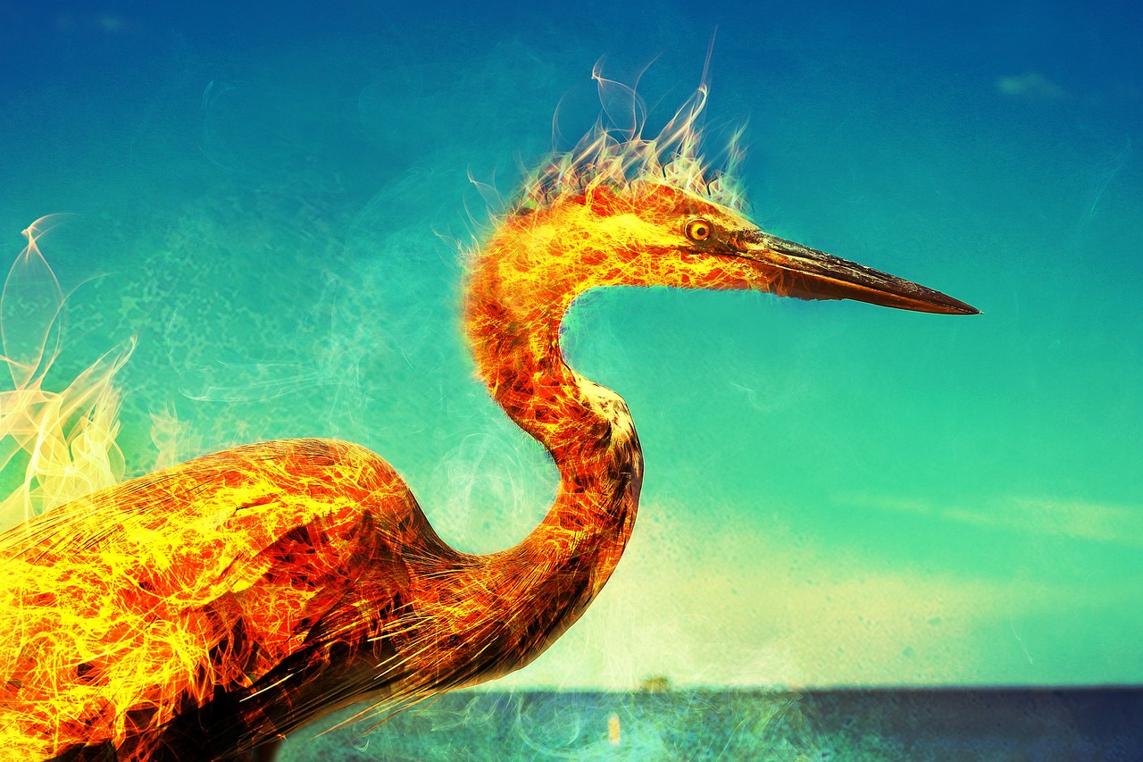 phoenix accident attorneys Phoenix