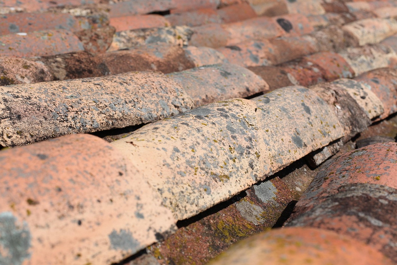 Roof Repair Dacula Ga