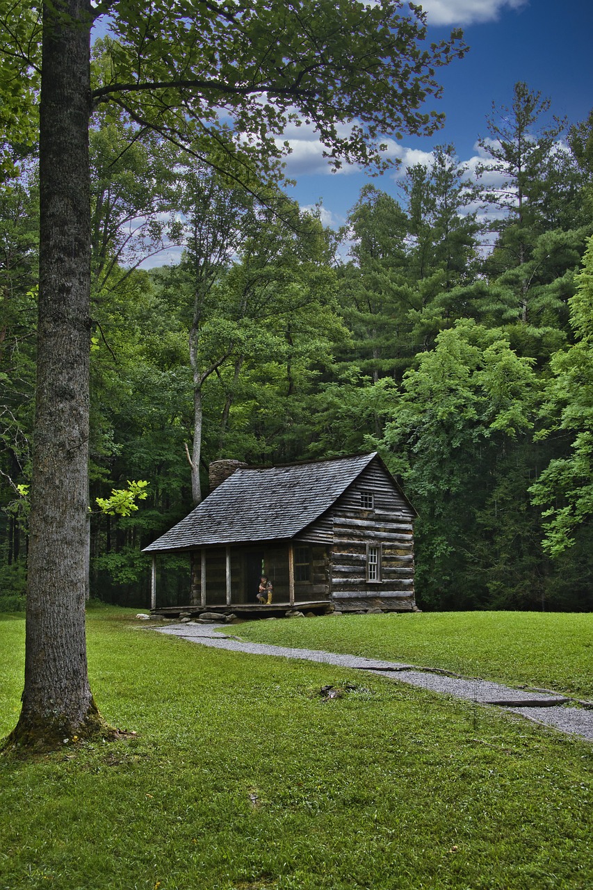 Title Loans Tennessee