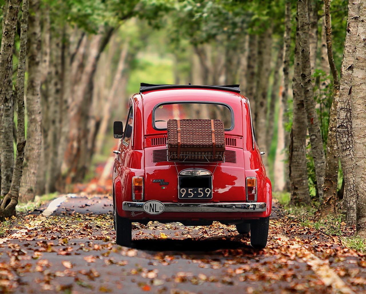 Car Shipping Mississippi: Regulations, Logistics, & Company Choices
