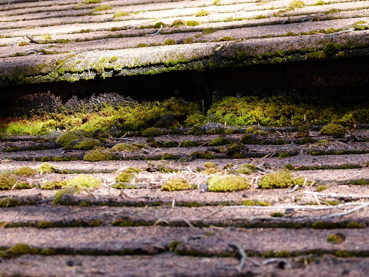 Expert Roof Repair Services in Dacula, GA