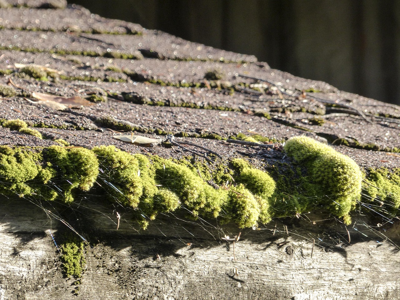 Expert Roofing Solutions in Dacula, GA: Your Local Partner