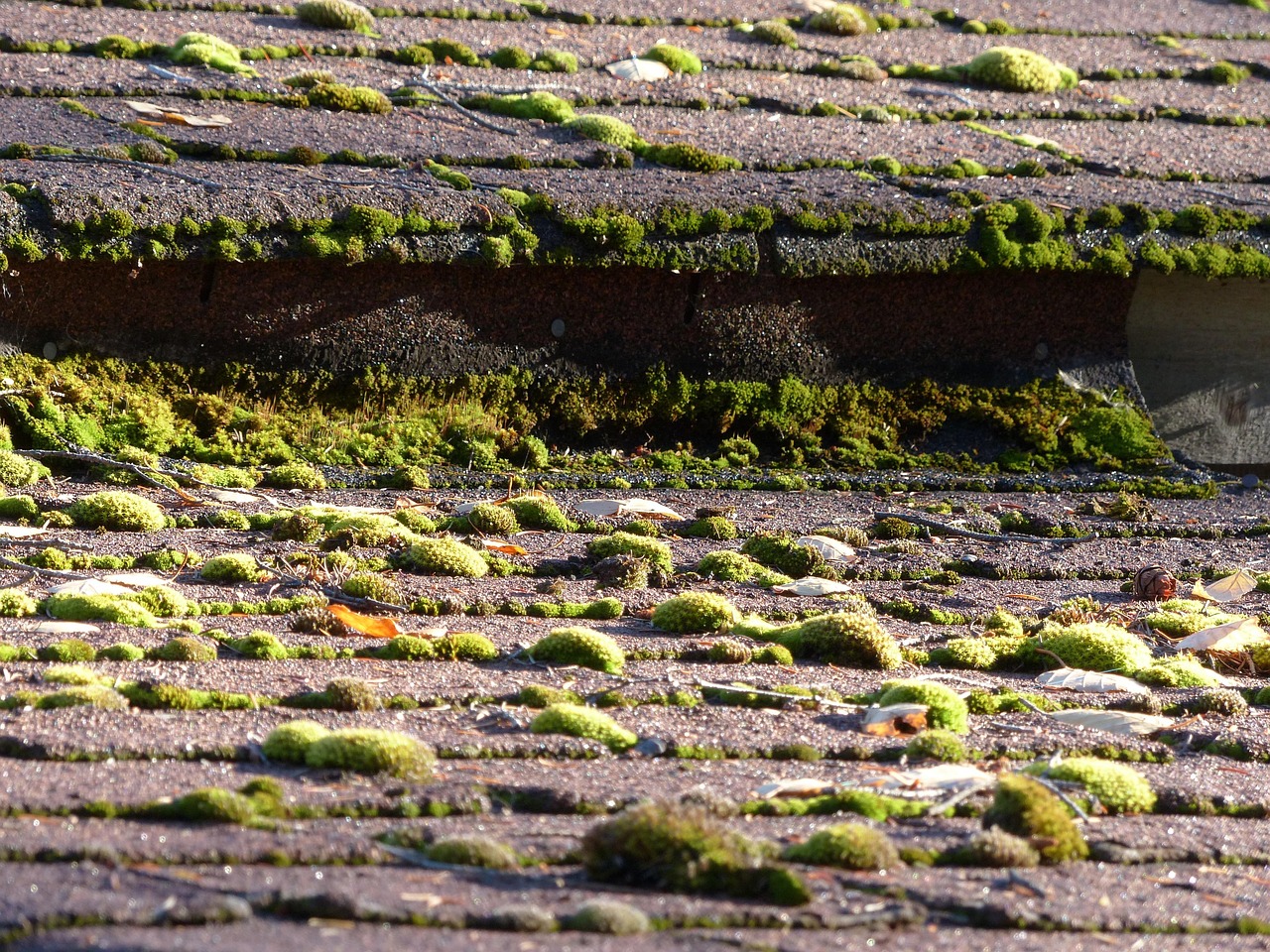 Roofing Experts in Dacula, GA: Protect Your Home