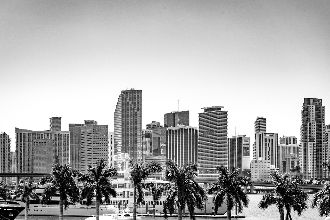 Seo Agency Miami Beach