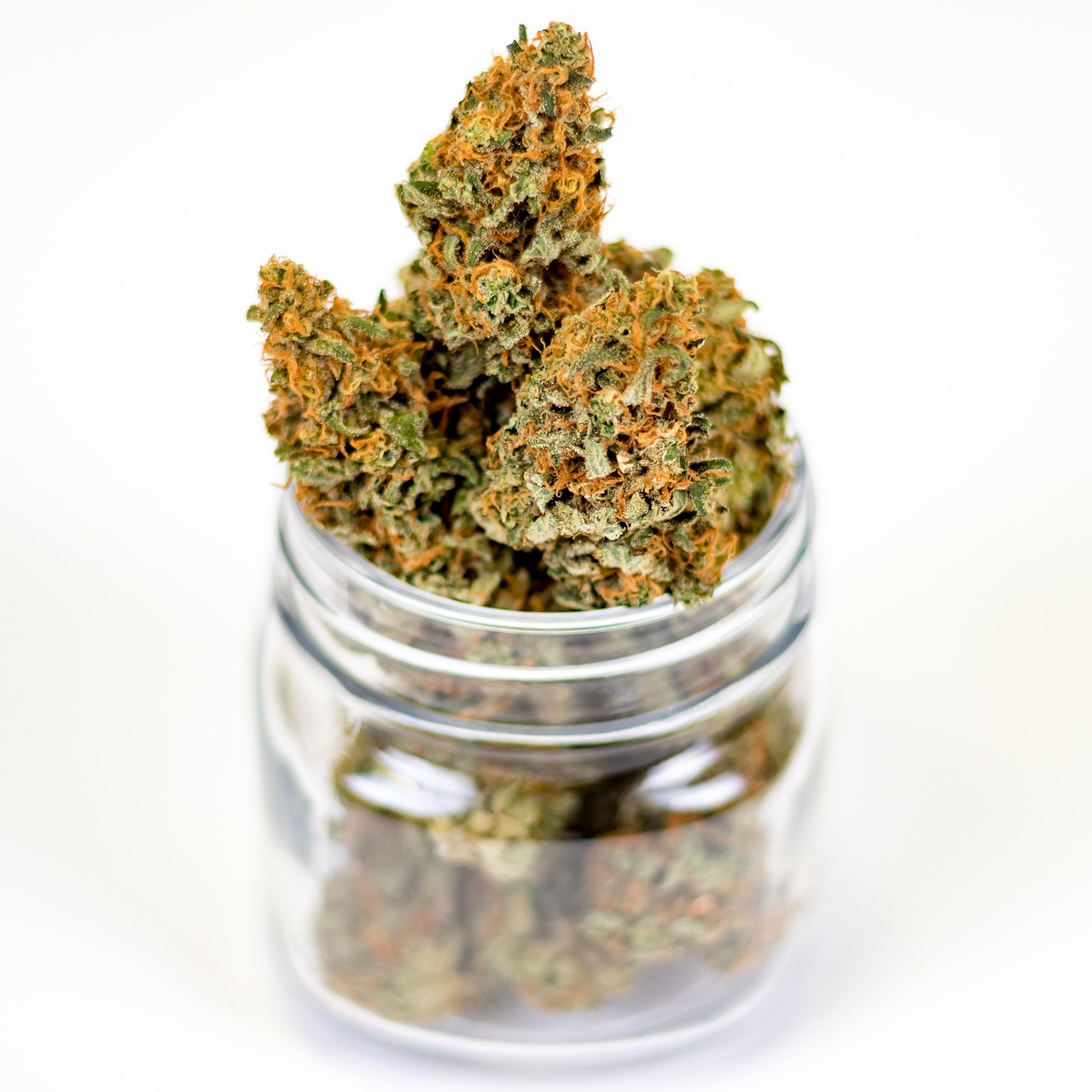 Unveiling the Power of Indica Strains: Effects and Cultivation Tips